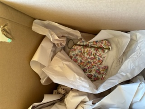 Evidence from Operation Protect Our Moves
