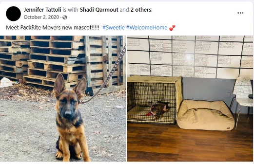 Evidence from Operation Protect Our Moves