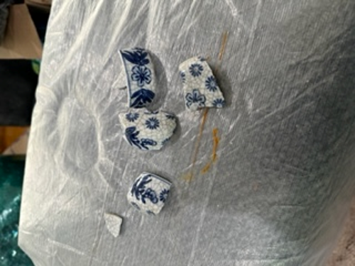 Evidence from Operation Protect Our Moves