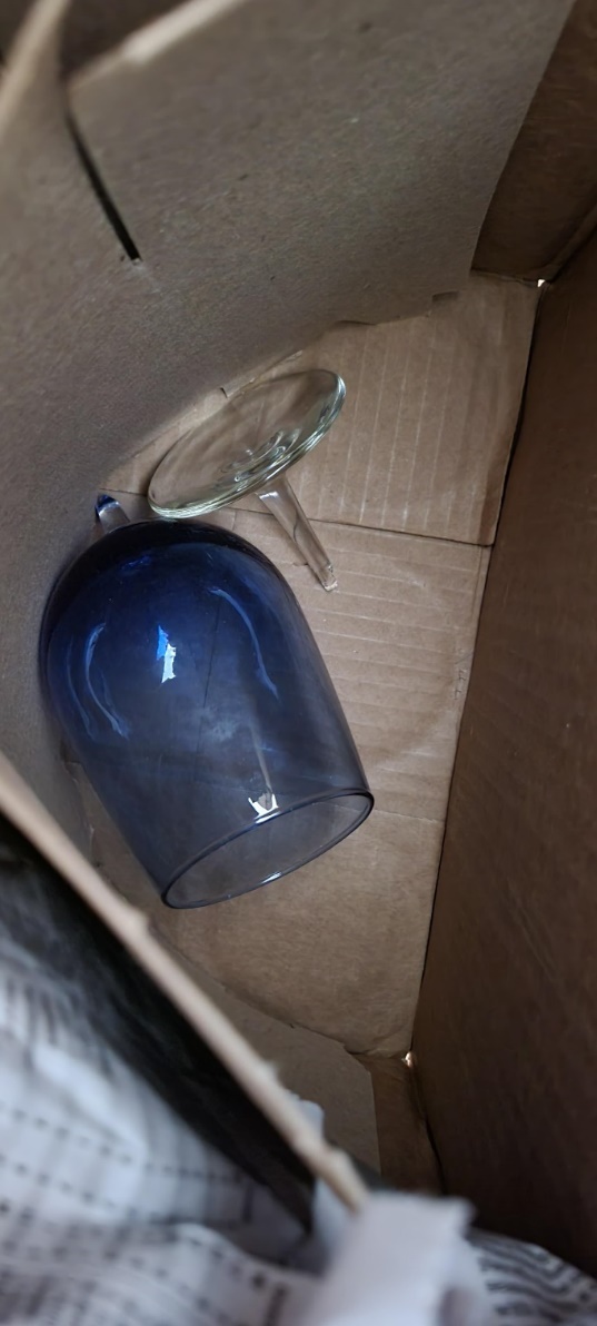 Evidence from Operation Protect Our Moves