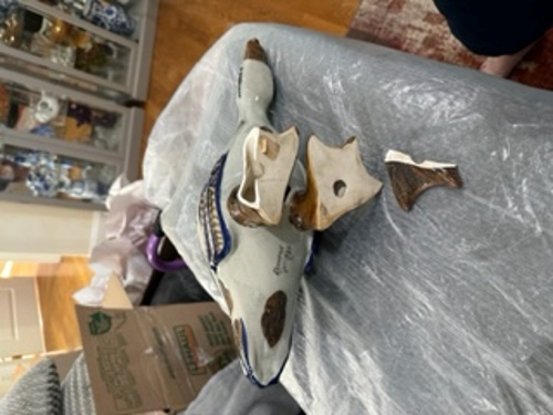 Evidence from Operation Protect Our Moves