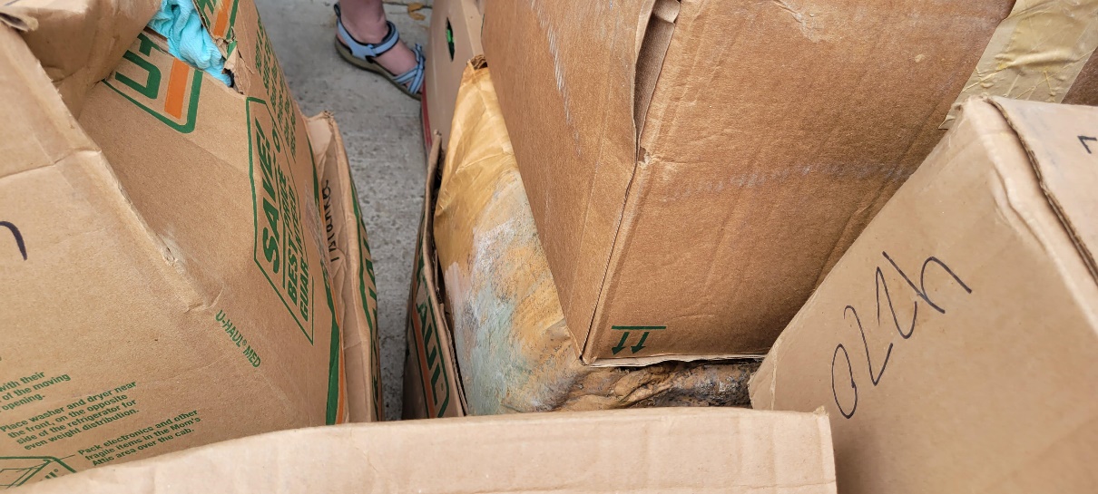 Evidence from Operation Protect Our Moves