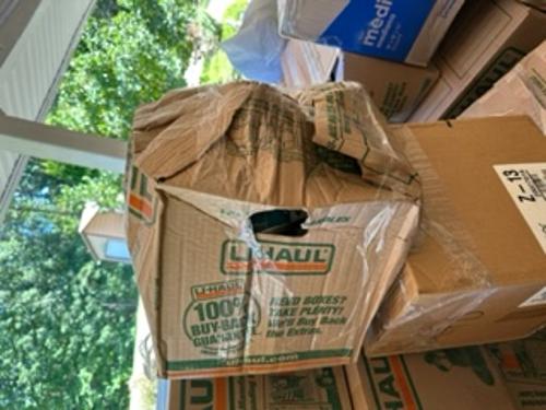 Evidence from Operation Protect Our Moves