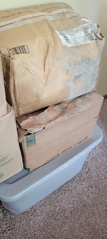Evidence from Operation Protect Our Moves