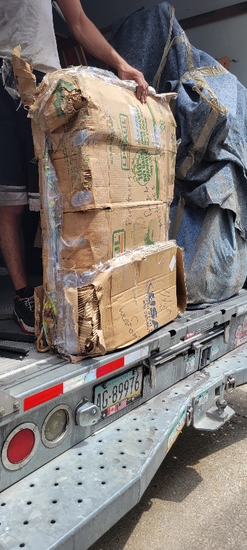 Evidence from Operation Protect Our Moves